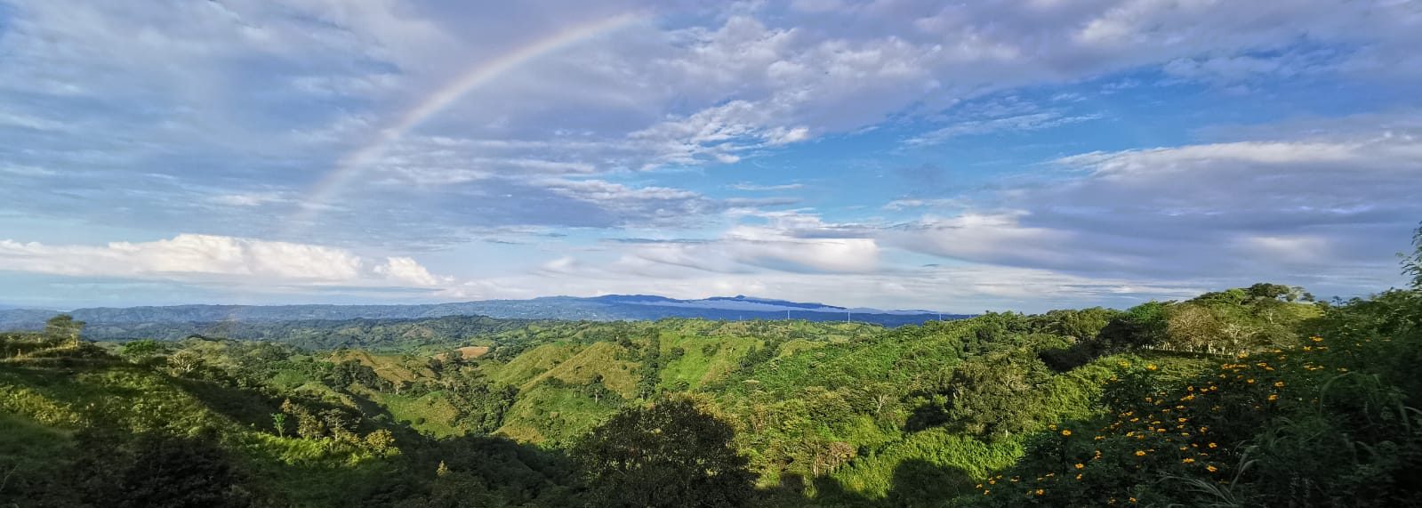 Holawa – Holistic Awareness Panama